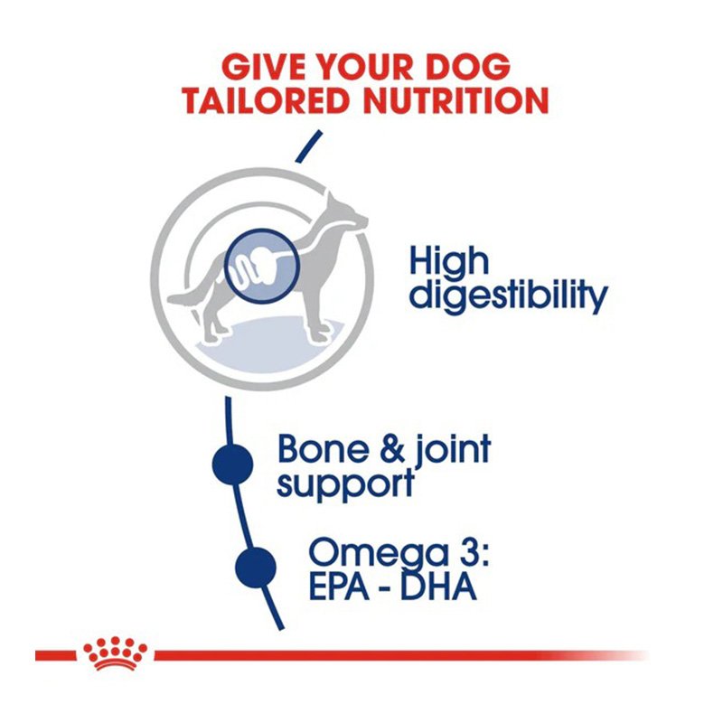 Royal Canin Maxi Adult Dog Food 15 Kg Best Price in Abu Dhabi