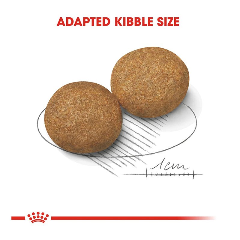 Royal Canin Medium Adult Dog Food 15 Kg Best Price in Dubai