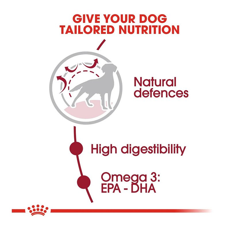 Royal Canin Medium Adult Dog Food 15 Kg Best Price in UAE