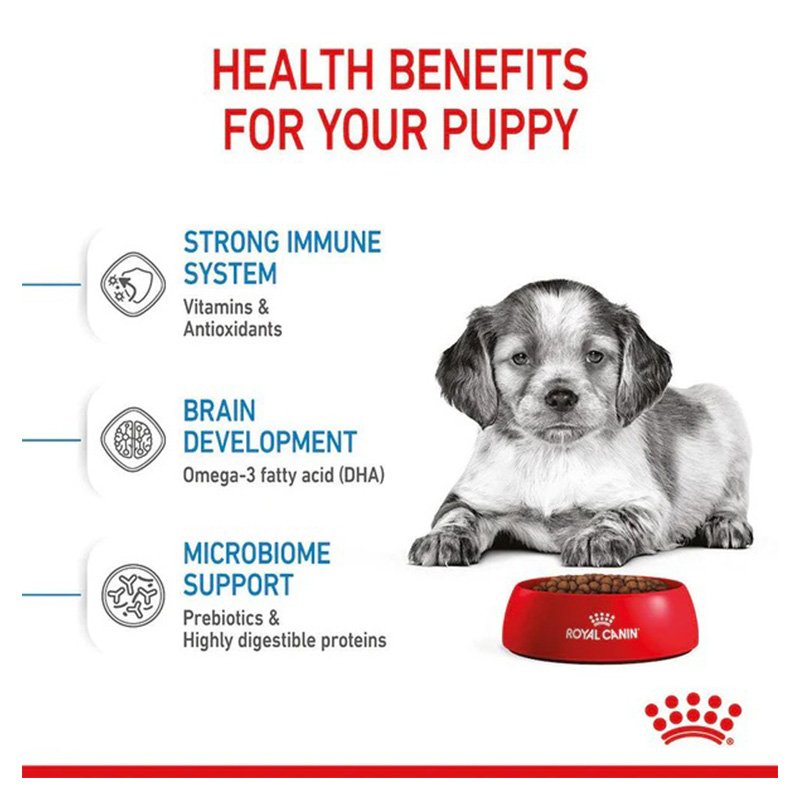 Royal Canin Medium Puppy Dog Food 10 Kg Best Price in Dubai