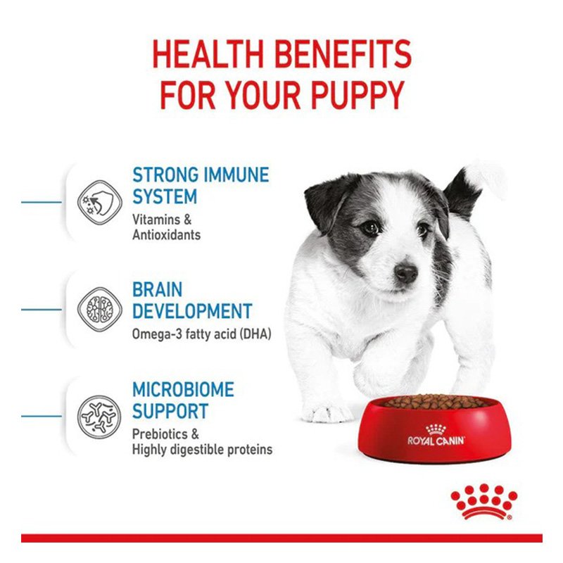 Royal Canin Mini Puppy Dog Food 8 Kg Best Price in UAE