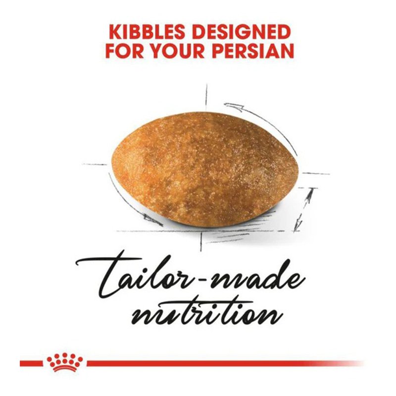 Royal Canin Persian Adult Cat Food 4 Kg Best Price in Dubai