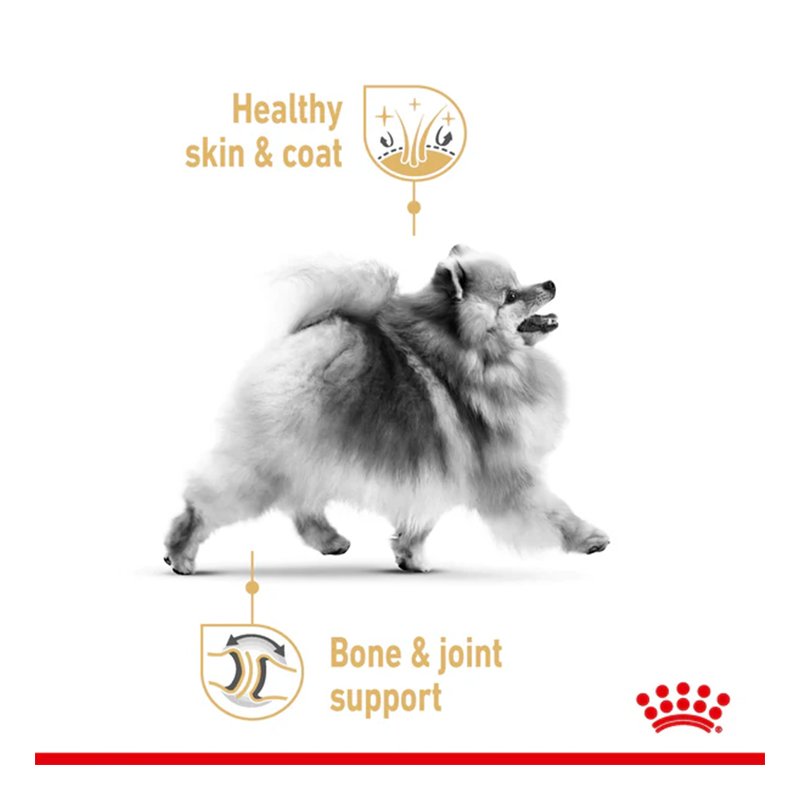 Royal Canin Pomeranian Adult Dog Food 1.5 Kg Best Price in Abu Dhabi
