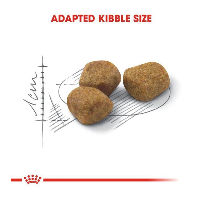 Royal Canin Regular Fit 32 Cat Food 10 Kg Best Price in Dubai