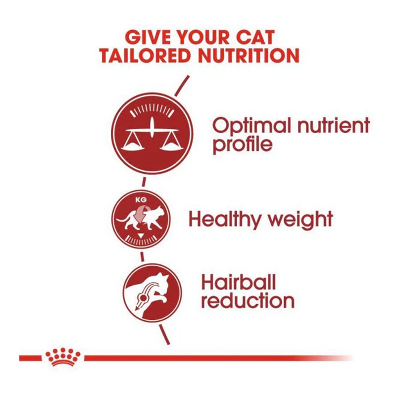 Royal Canin Regular Fit 32 Cat Food 10 Kg Best Price in UAE