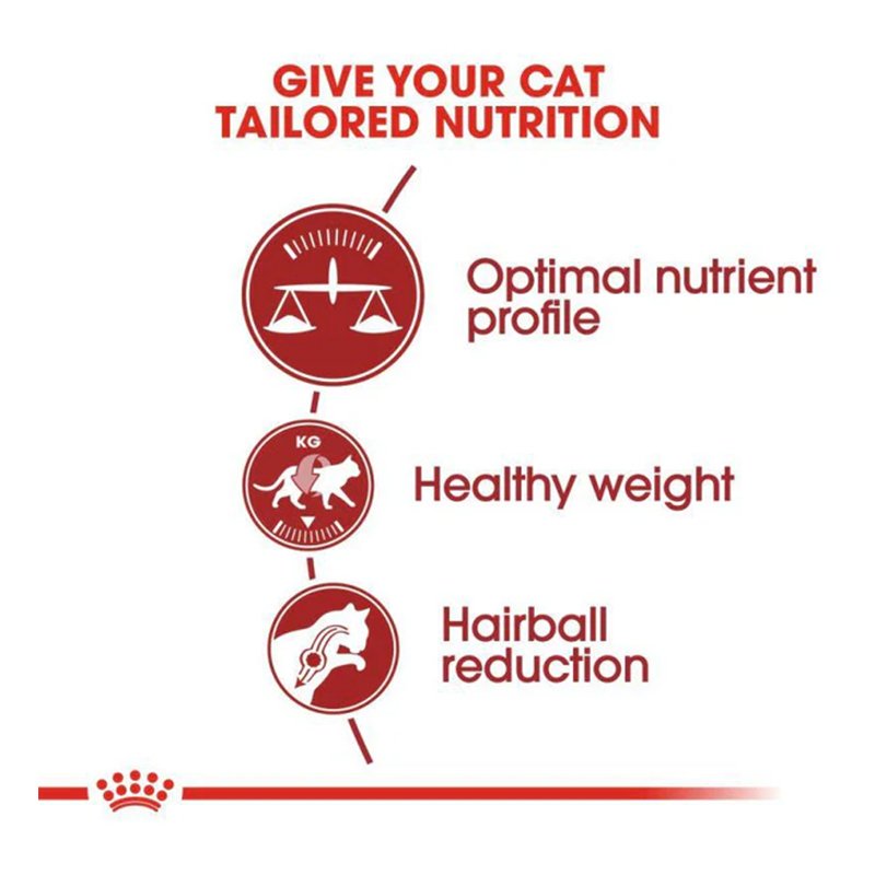 Royal Canin Regular Fit 32 Cat Food 2 Kg Best Price in UAE