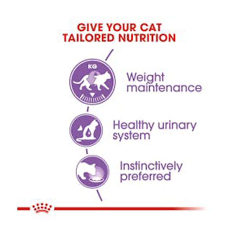 Royal Canin Sterilised Jelly Cat Food 85 g x 12 Best Price in UAE