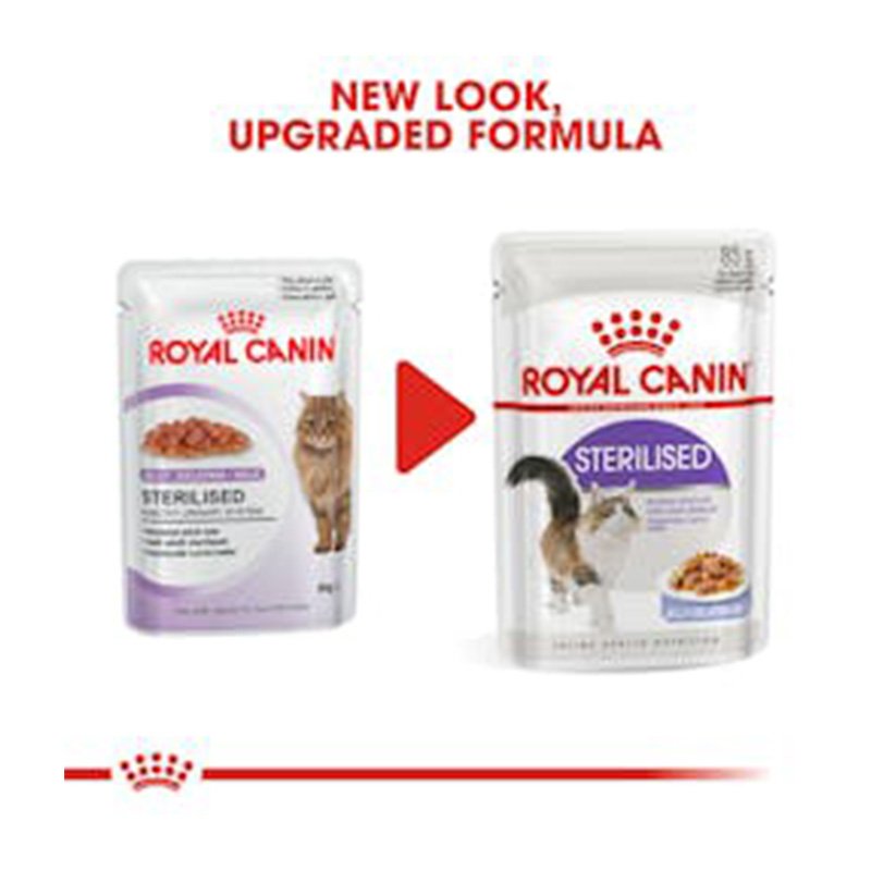 Royal Canin Sterilised Jelly Cat Food 85 g x 12 Best Price in UAE