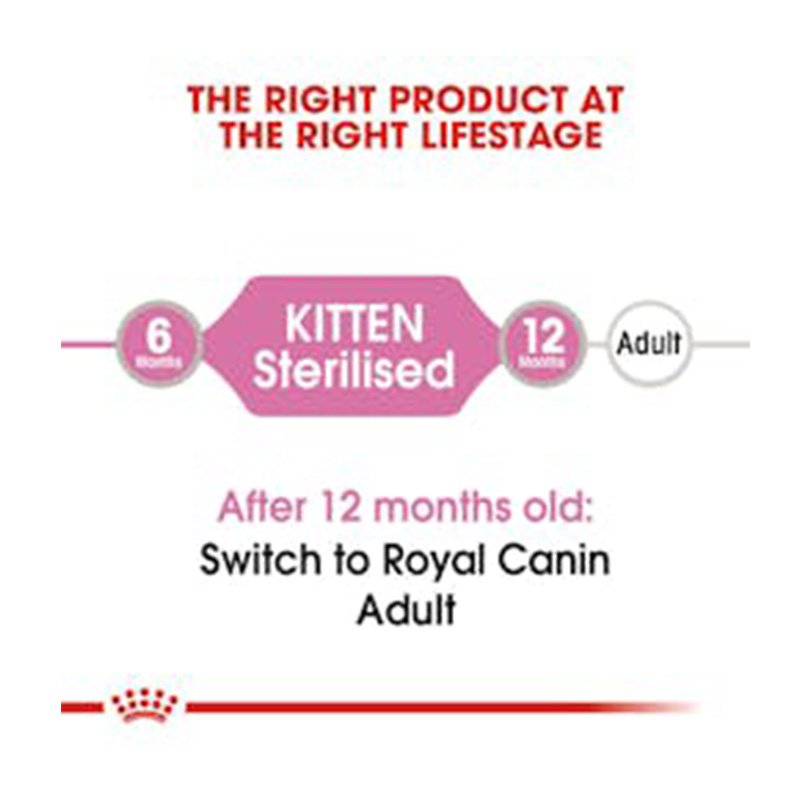 Royal Canin Sterilised Kitten Gravy Cat Food 85 g x 12 Best Price in Abu Dhabi