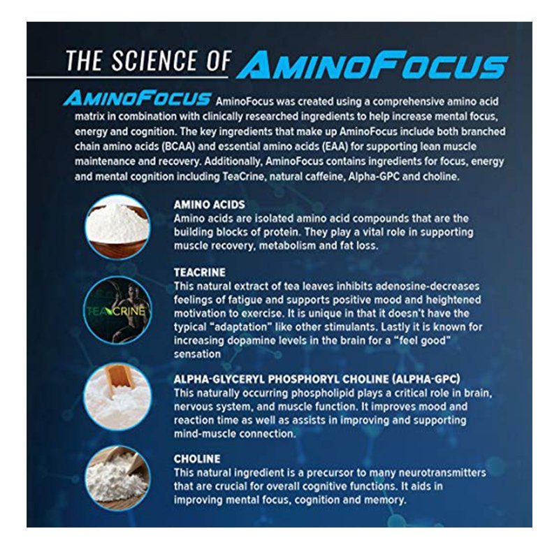 RSP Amino Focus 30 Servings Best Price in UAE