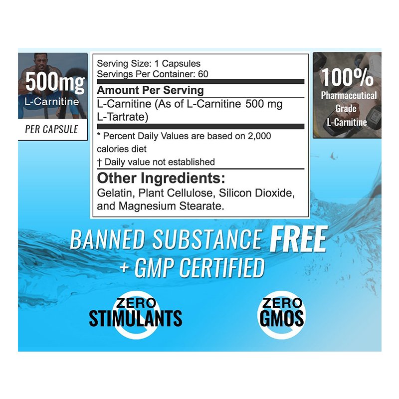 RSP L Carnitine 60 Caps Best Price in UAE