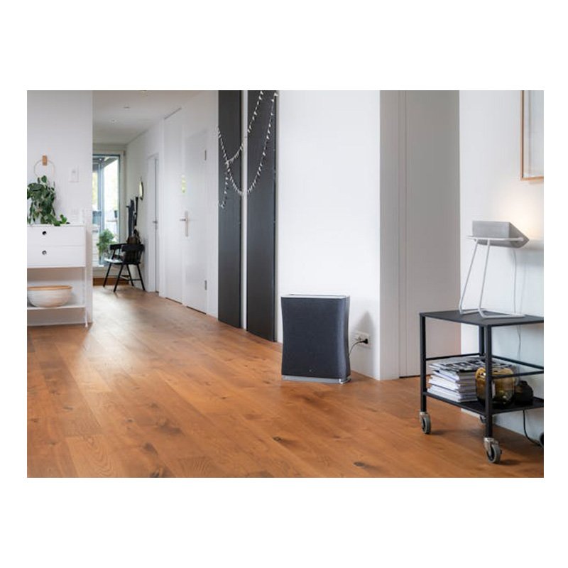 Stadler Form Roger Air Purifier Black Best Price in Al Ain