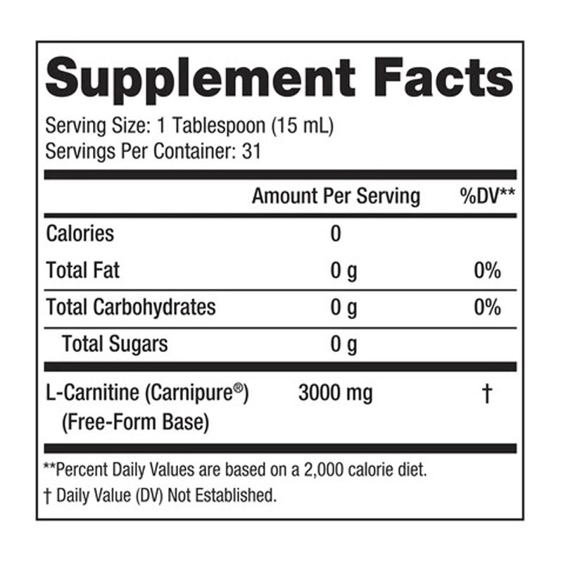 Steel Fit Steel Burn Liquid L-Carnitine 3000 mg 473 ml - Candy Apple Best Price in Ras Al Khaimah