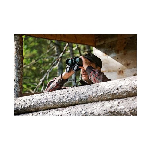 Swarovski EL 10 X 50 W B Green Binocular Price in Abu Dhabi