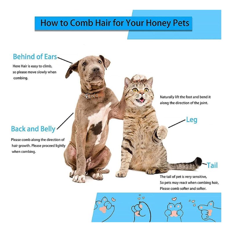 The DDS Store Pets Cleaning & Grooming Brush Best Price in Abu Dhabi