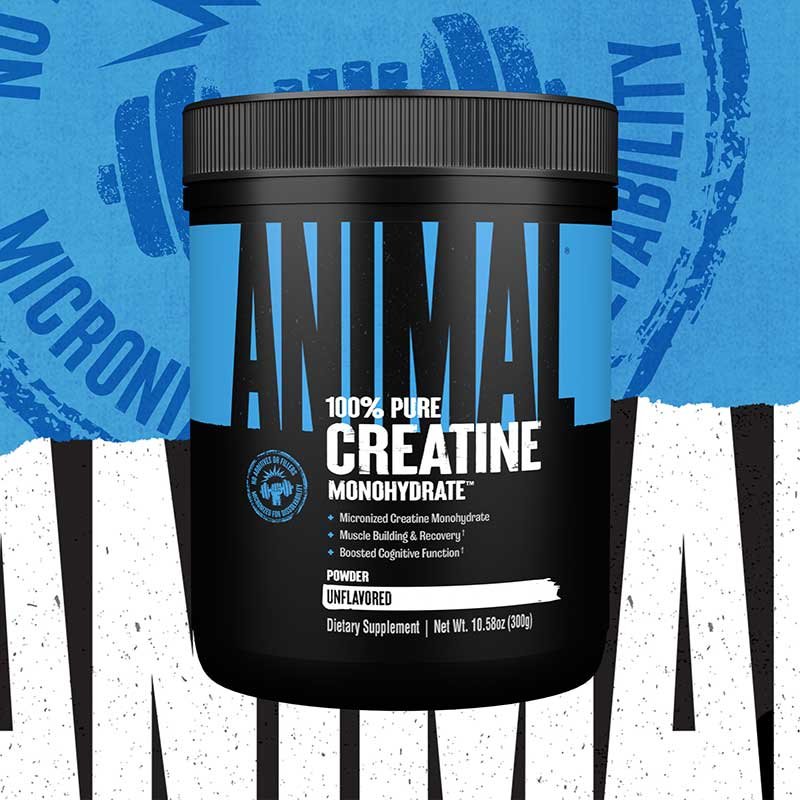 Universal Animal 100% Pure Creatine Monohydrate 300 G - Unflavored Best Price in Dubai