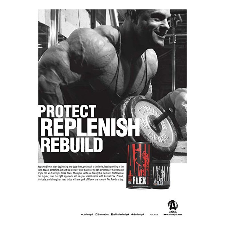 Universal Animal Flex 30 Pak Best Price in UAE