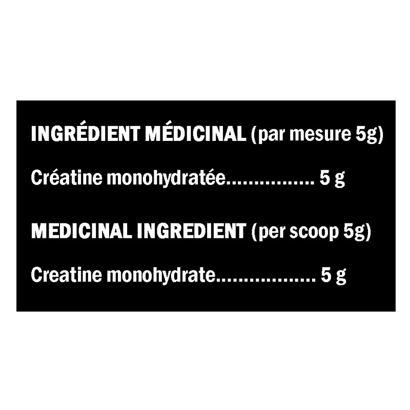 XPN Creatine X 1000Gram Best Price in UAE