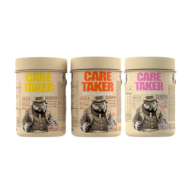 Zoomad Labs Care Taker Sleeper BCAA 405 G Best Price in UAE